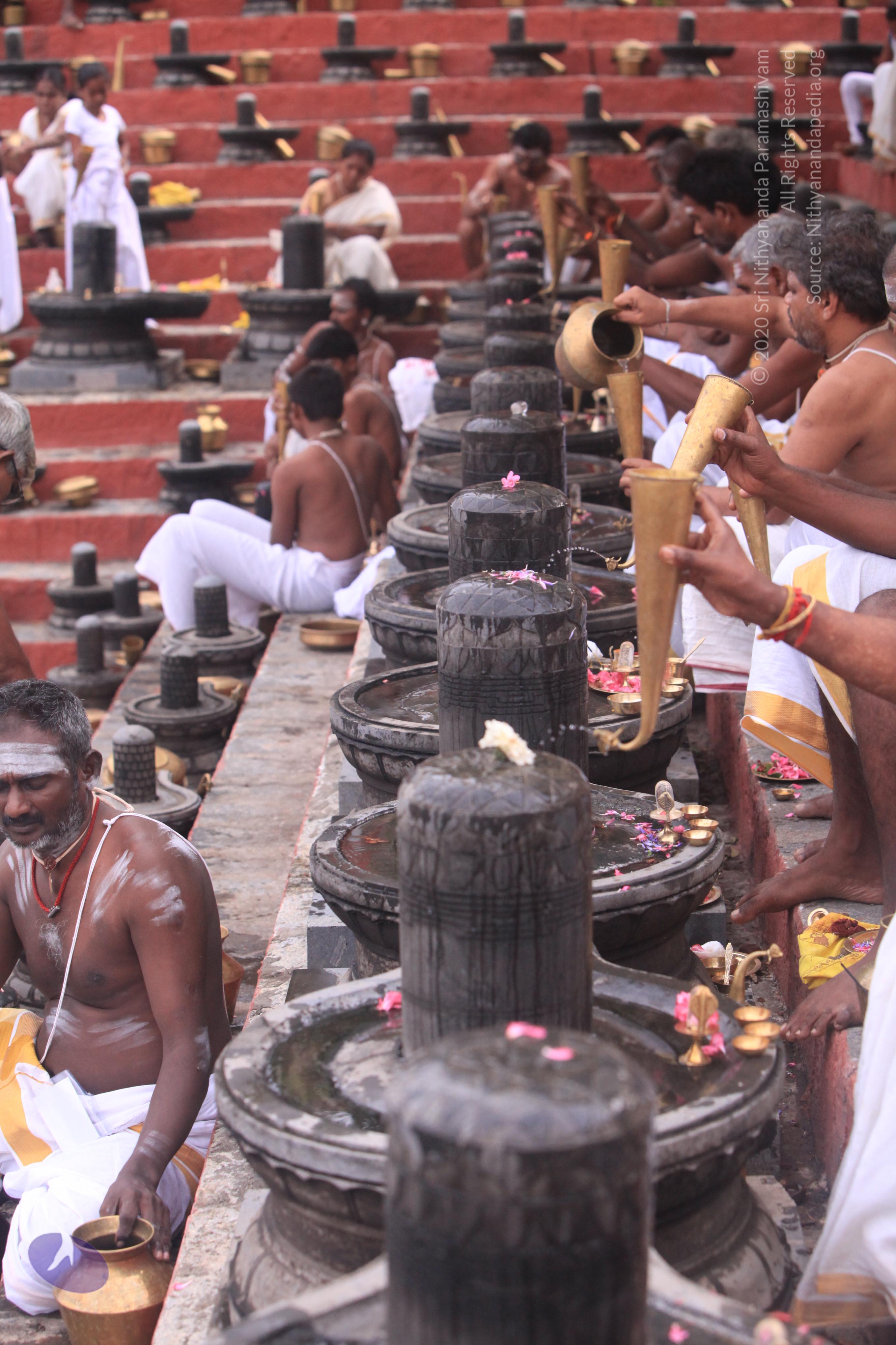 20170529_Photo_1002_IMG_8866_CMP_WM